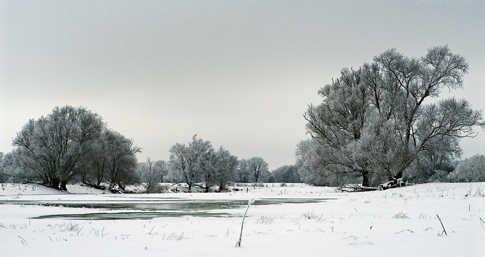 Oderwiesenwinter....