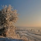 OderWinterBlick