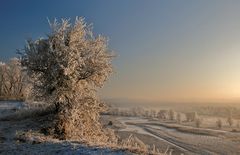 OderWinterBlick