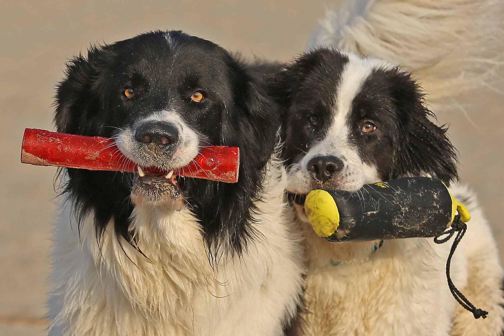 Odin und Ayita_2