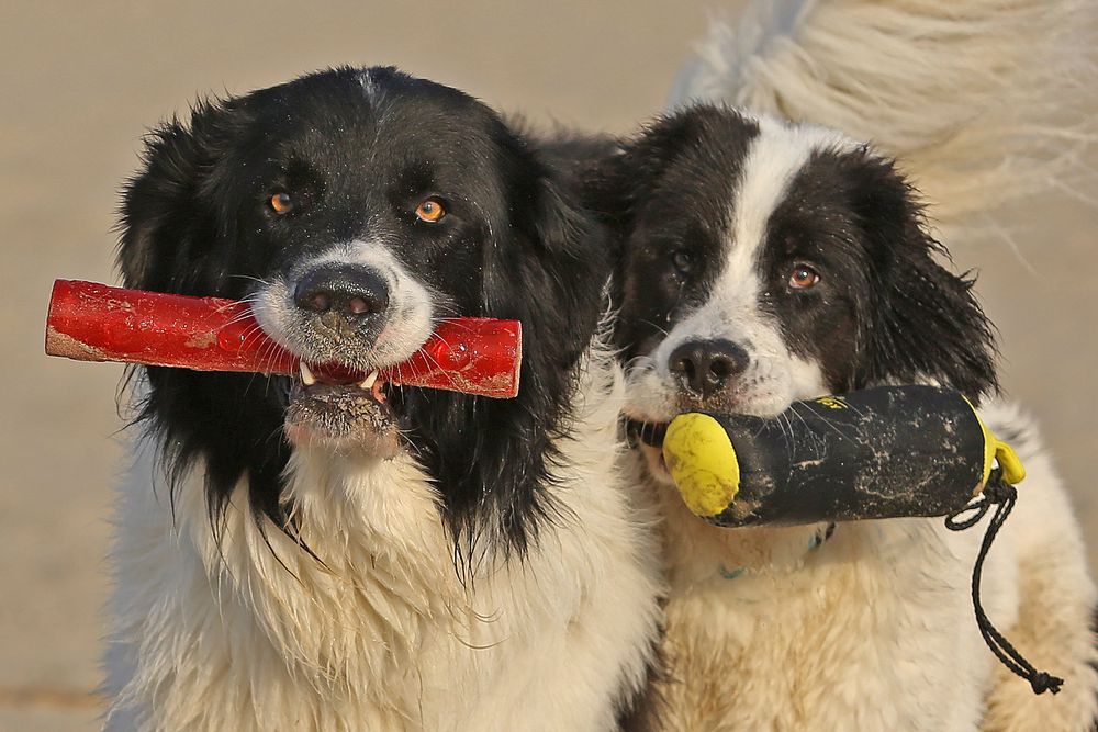 Odin und Ayita_2