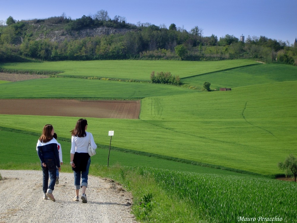 ODIO PASSEGGIARE 2