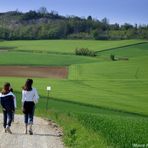 ODIO PASSEGGIARE 2