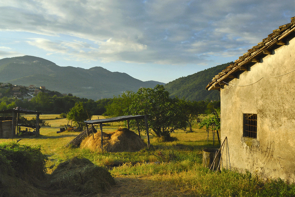 Odore di fieno e di stalla