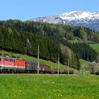 ÖBB 1142.613 Gleinkerau