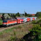 ÖBB 1142.653 Glaubendorf 