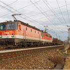 ÖBB 1144 und 1142