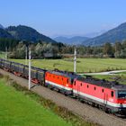 ÖBB 1144.239 Singsdorf