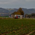 ÖBB Desiro 5022