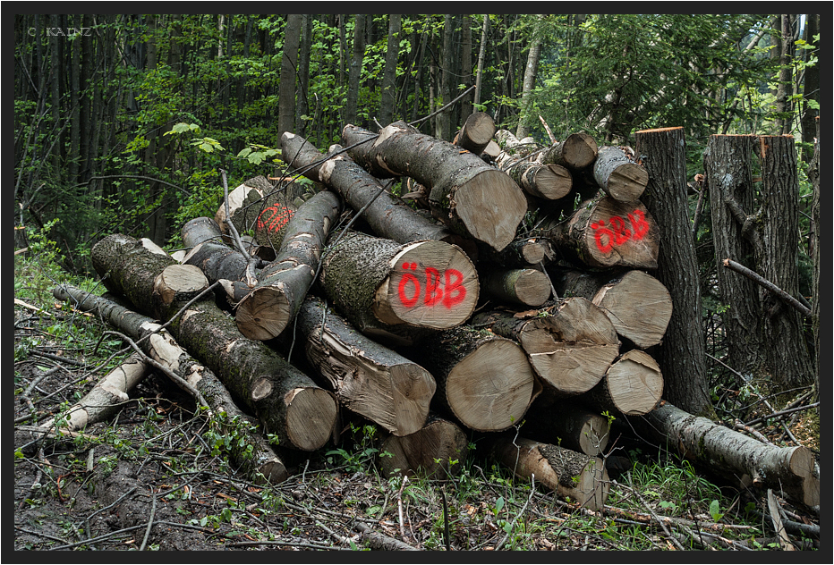 ÖBB Holz