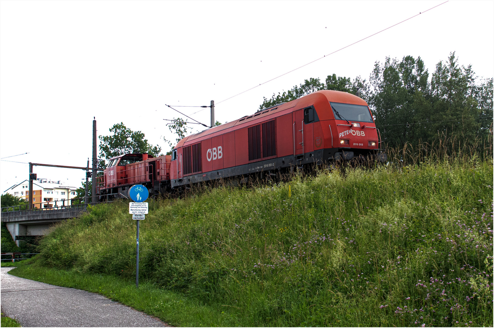 ÖBB Peter 2016 065 