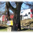 ÖBB - Purkersdorf-Gablitz