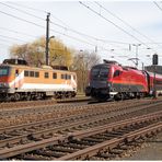 ÖBB railjet nach Salzburg