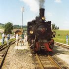 ÖBB Schmalspur-Lok - Gmünd/Waldviertel