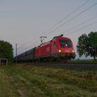 ÖBB-Stier und Jolle