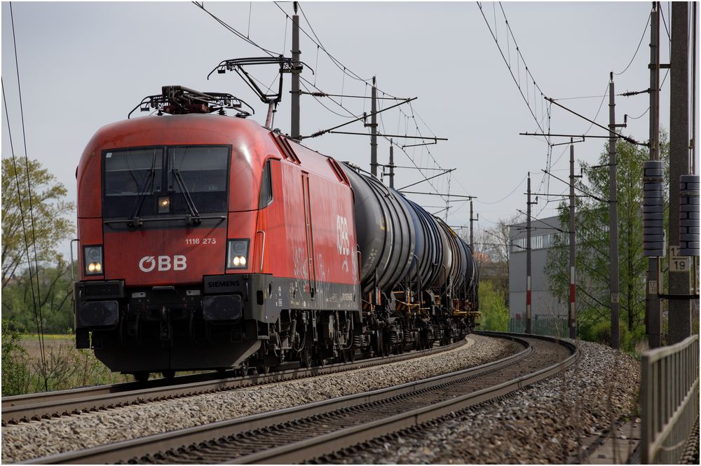 ÖBB Taurus 1116 275