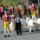 "Öberefahre" von der Schwägalp nach Urnäsch ...