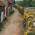 Oebisfelde - An der Stadtmauer 1990