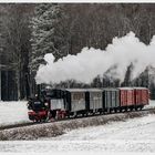 Öchsle - die Museumsbahn