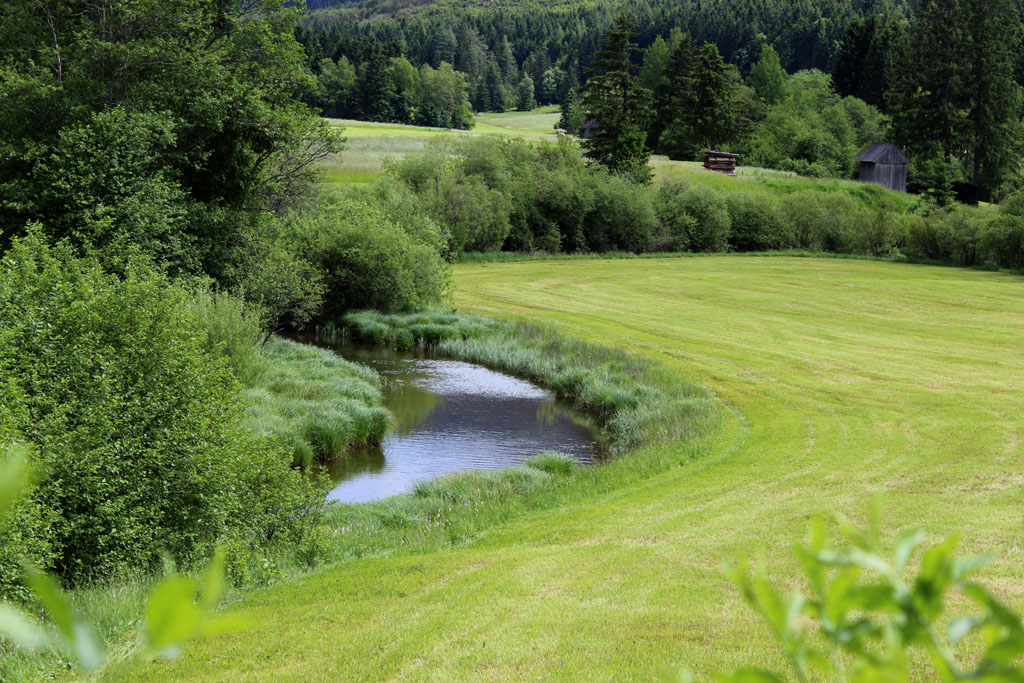  Ödensee Moor  