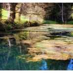 Ödenwaldweiher beim Adrionshof Lossburg