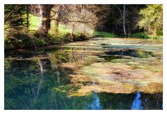 Ödenwaldweiher beim Adrionshof Lossburg