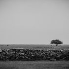 Ödland,...ääh nein Öland hiess das Eiland