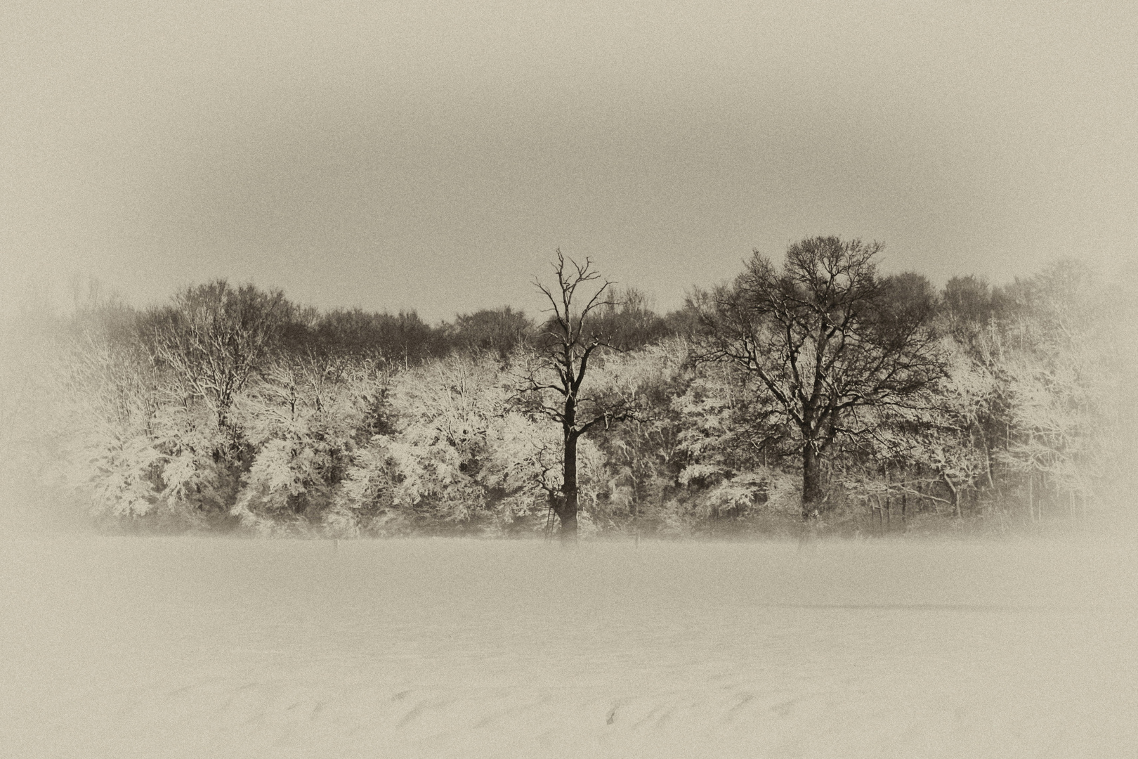 Oedt bei Krefeld im Winter 2012 , erster Schnee