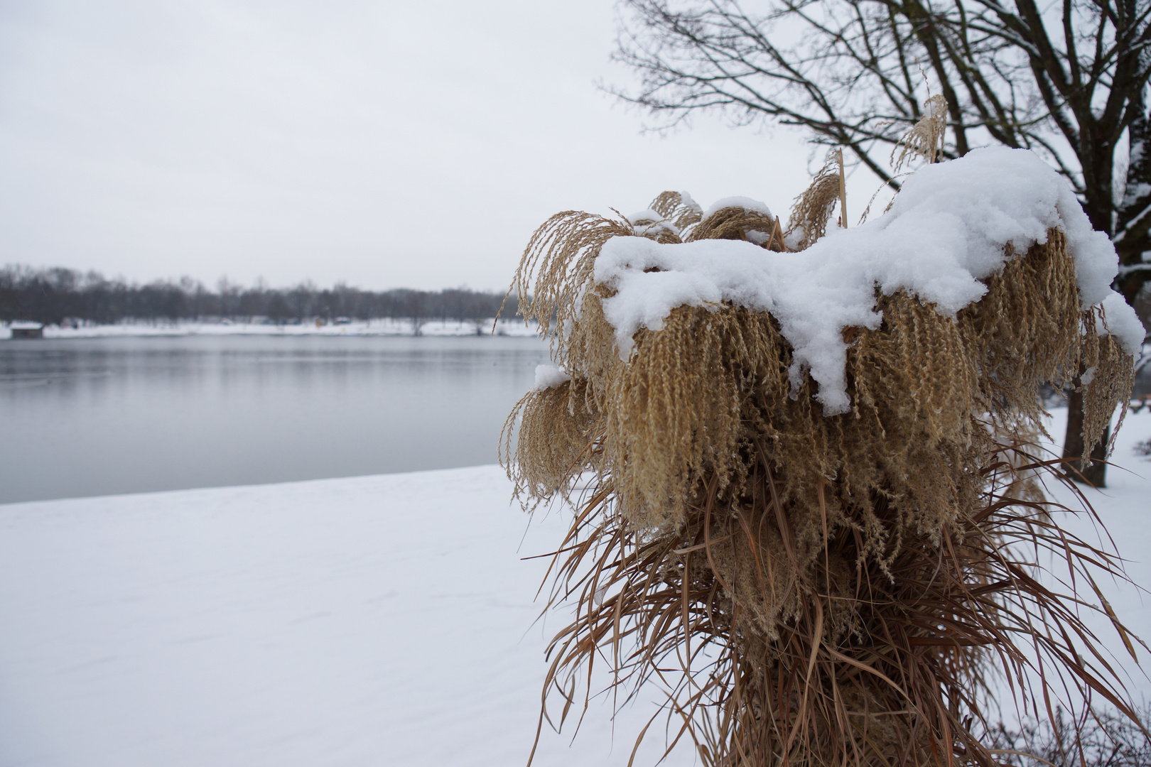 Ödtsee Winter