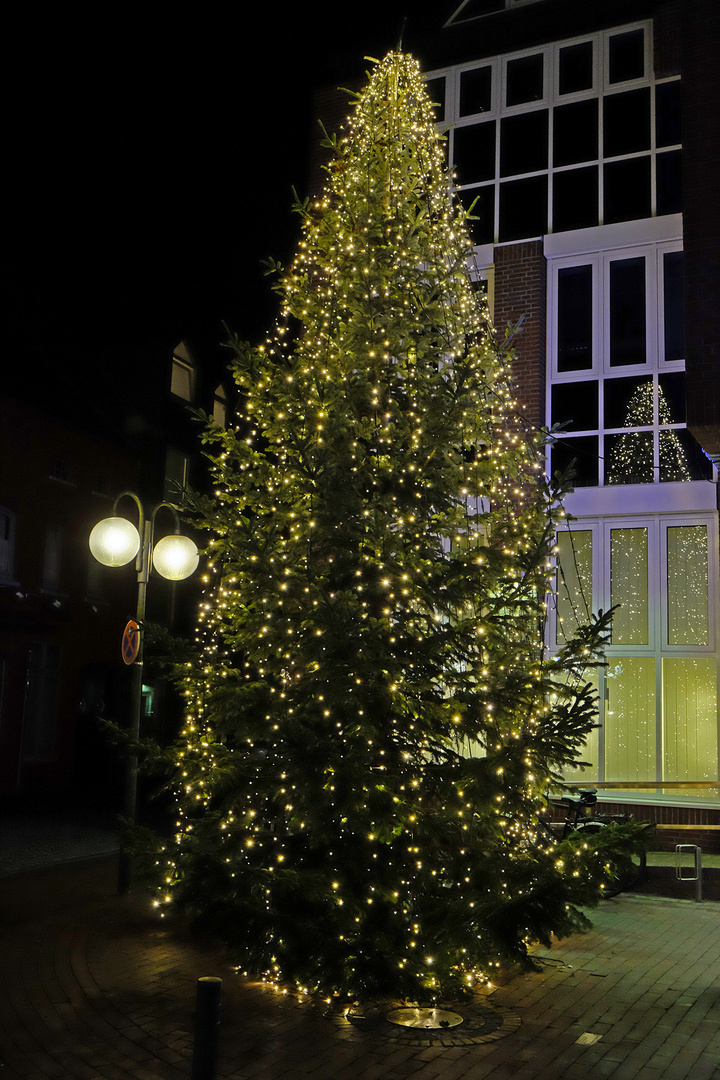 Öffentliche Weihnachtsbäume auf den Straßen von Leer (Ostfriesland)