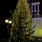 Öffentliche Weihnachtsbäume auf den Straßen von Leer (Ostfriesland)