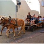 - - - öffentlicher Nahverkehr - - -