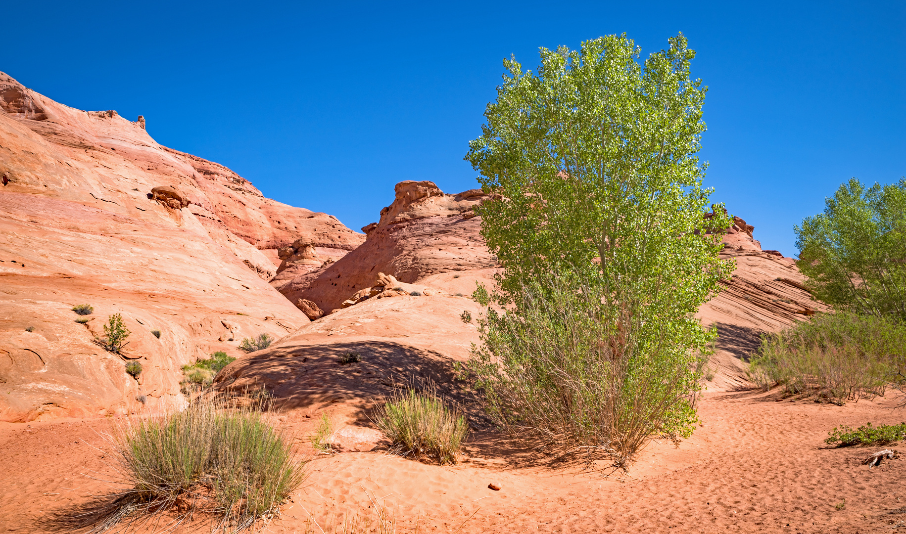 Oeffnung eines Slot-Canyons