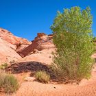 Oeffnung eines Slot-Canyons