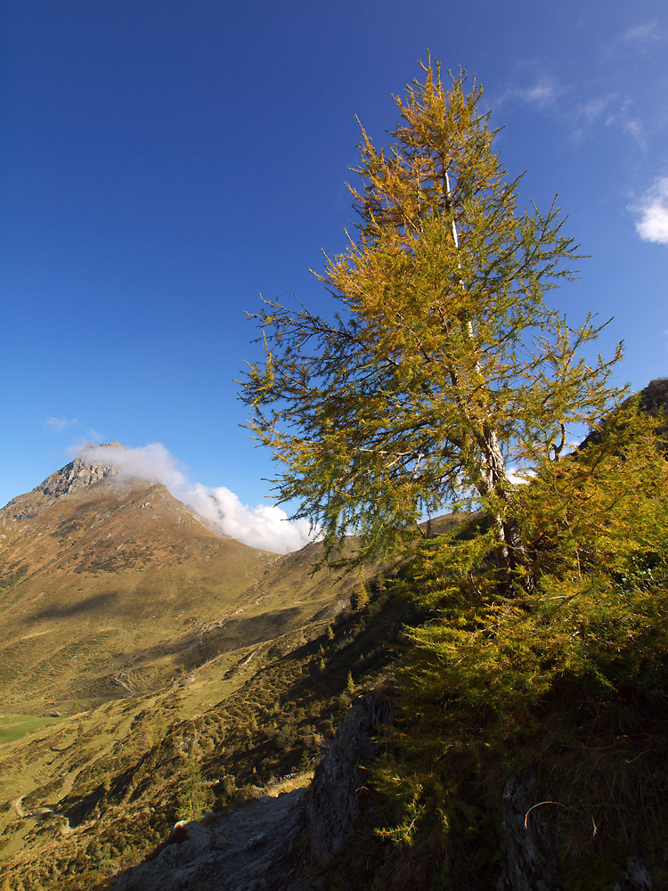 Öfnerjoch