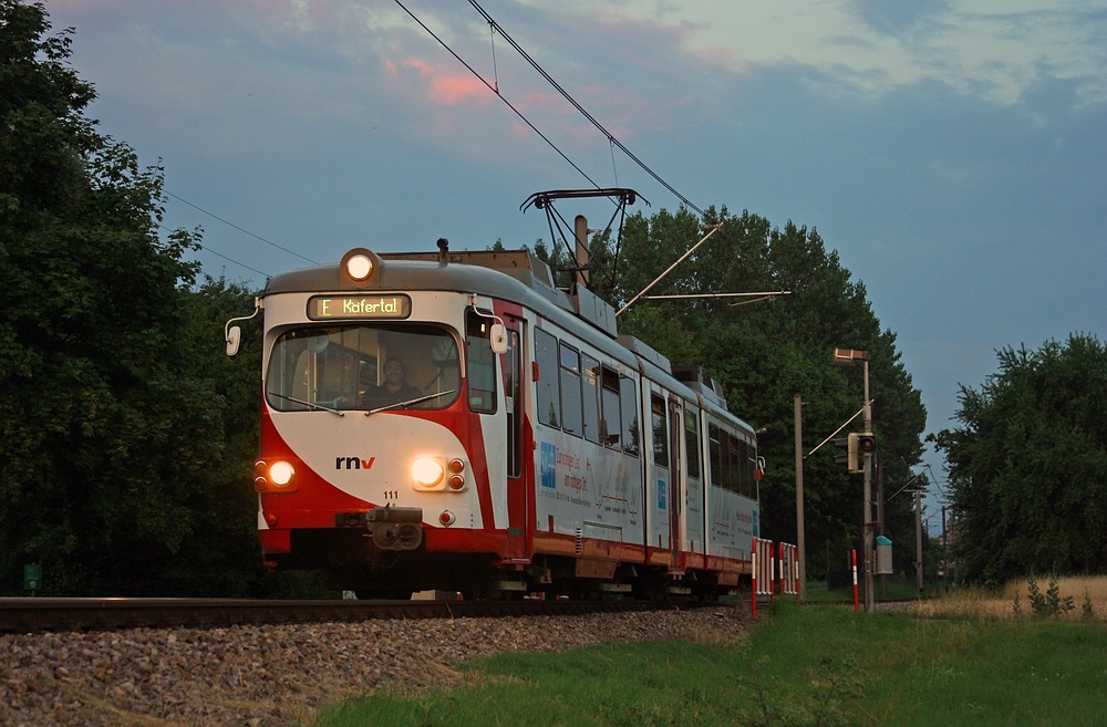 OEG 111 zu vorgerückter Stunde am Vogelstangsee in Mannheim