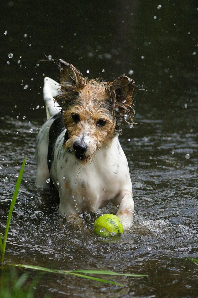 Öh... der Ball und so