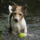 Öh... der Ball und so