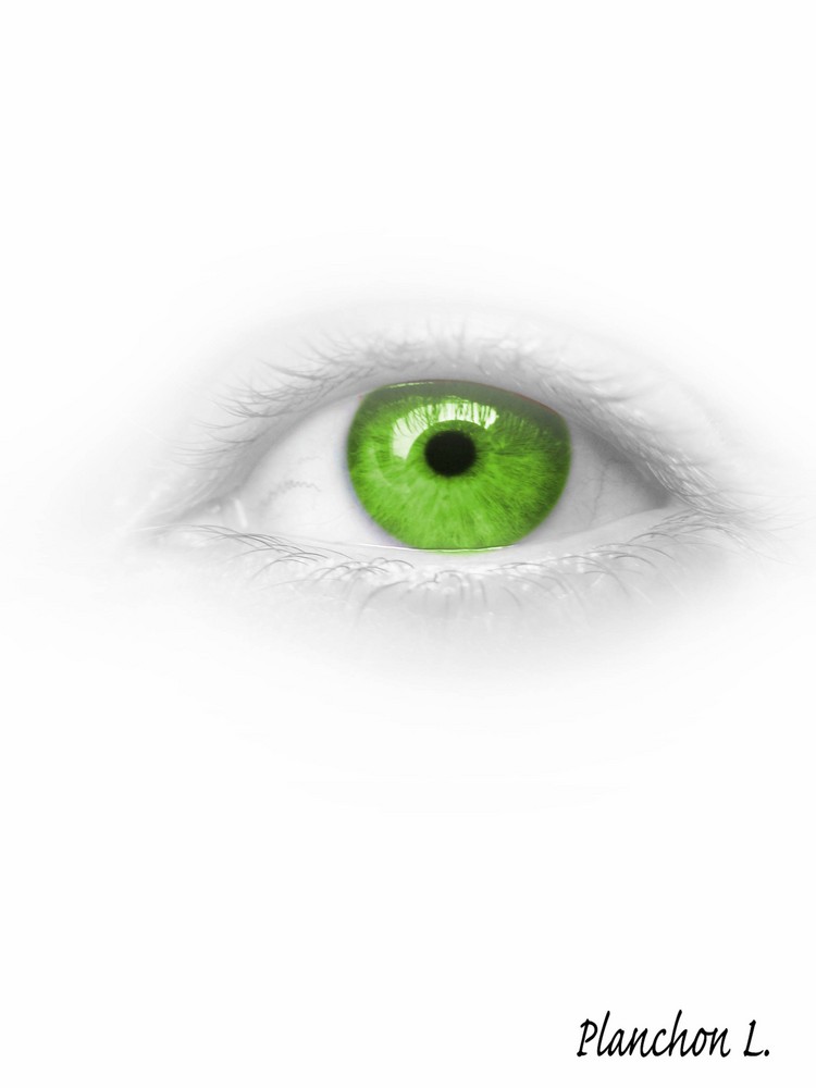 Oeil vert