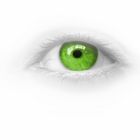 Oeil vert