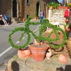 Öko-Fahrrad in Bolgheri