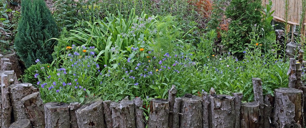 Ökologie im Garten mit Pflanzen für  Insekten und dem Totholz...