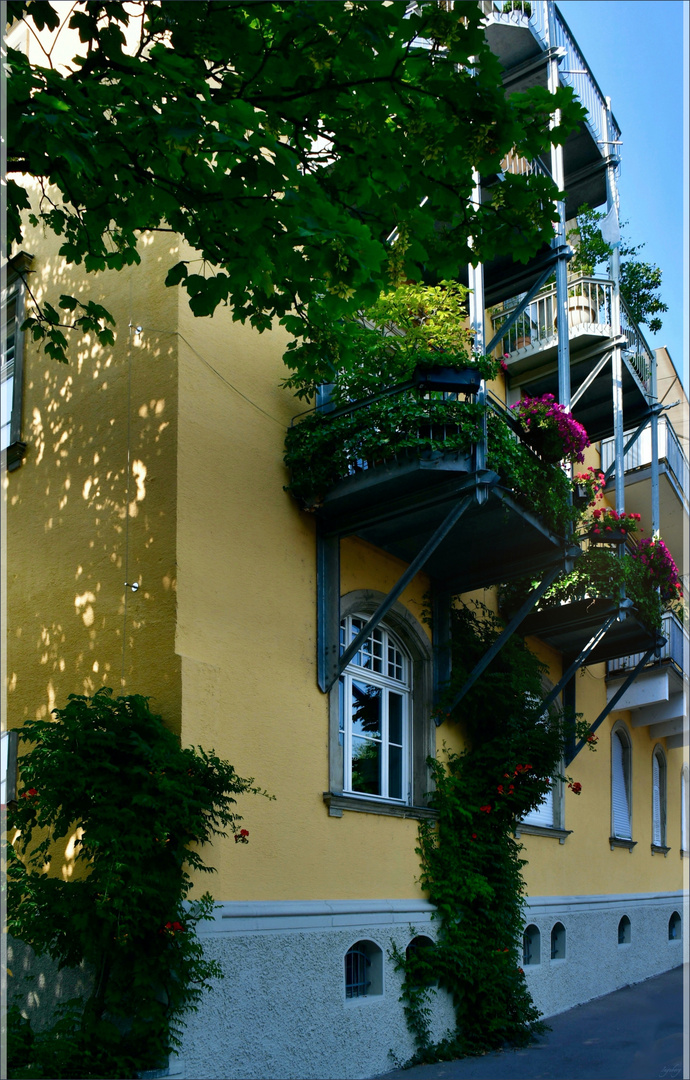 „ ökologisch sanierter sozialer Wohnungsbau "