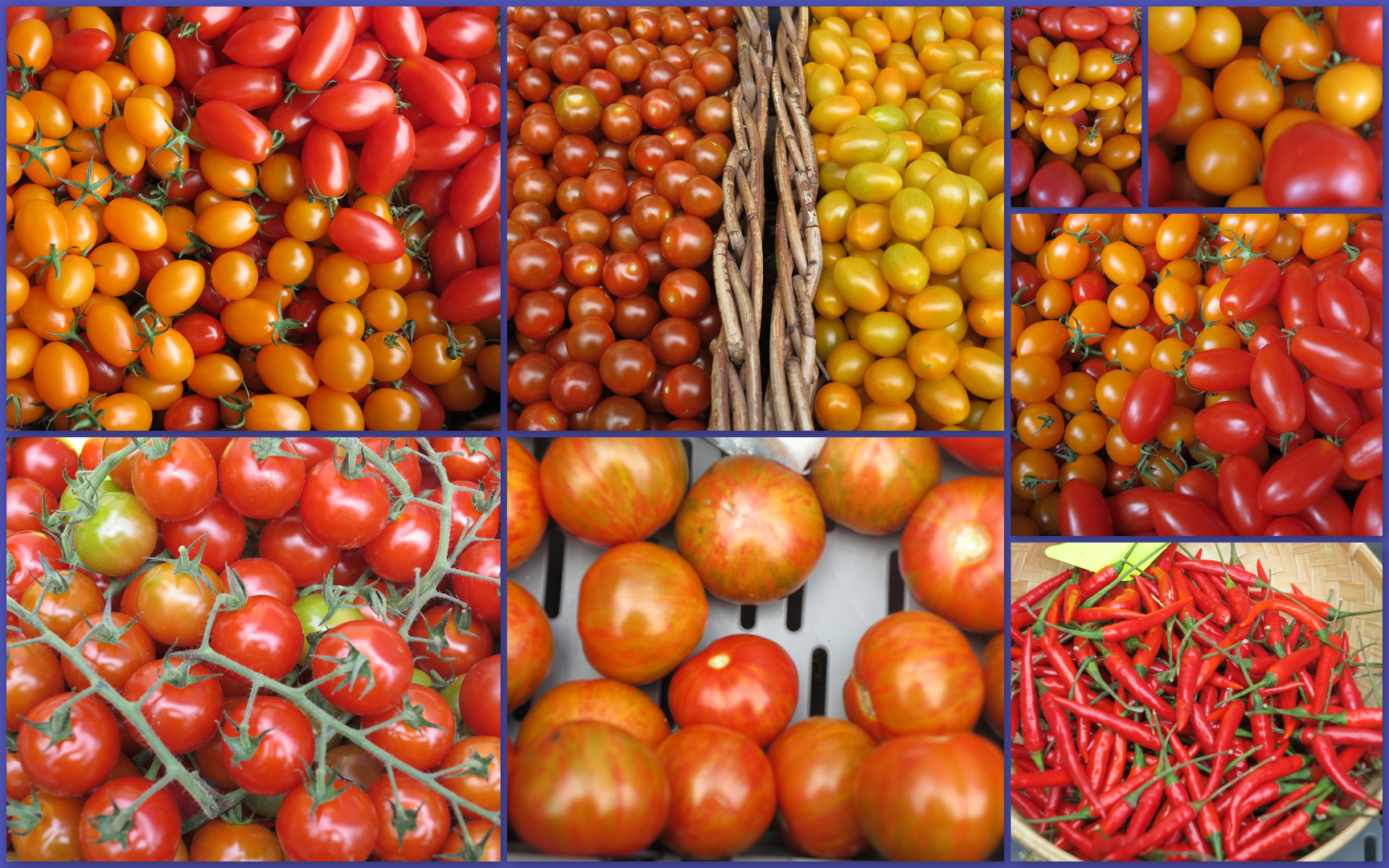 ökologische Tomaten und Anhängsel