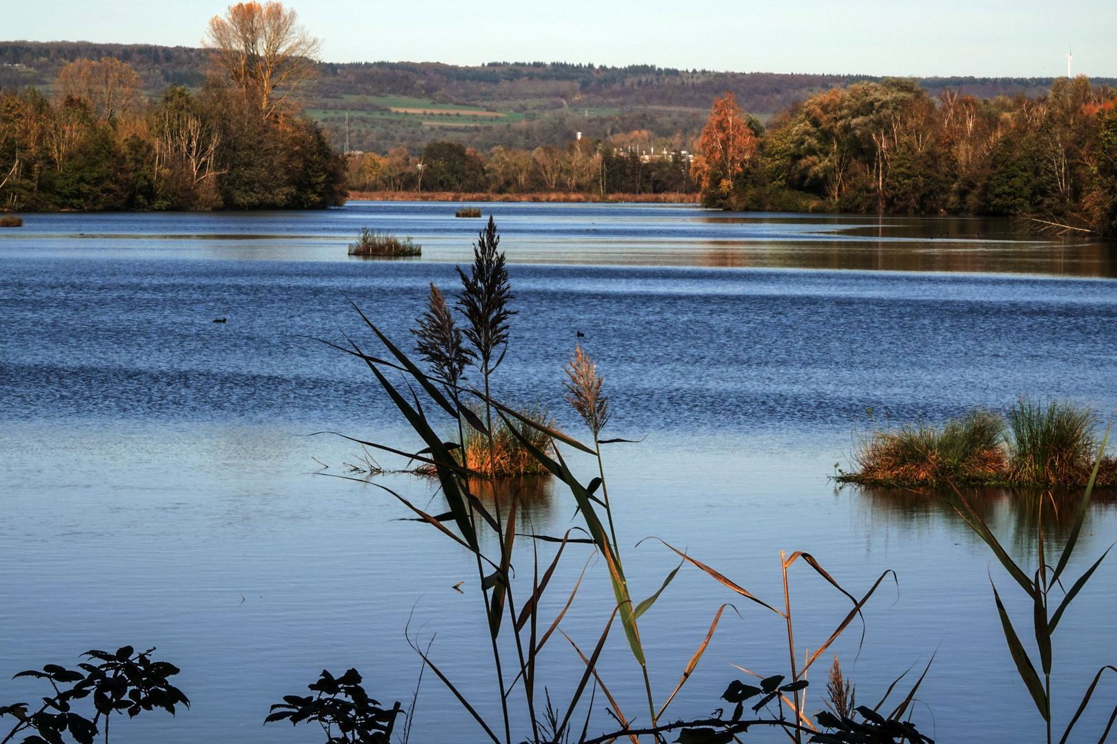 Ökosee