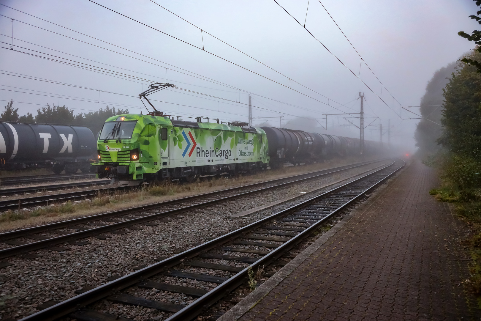 Ökostrom im Nebel 