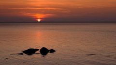 Öland