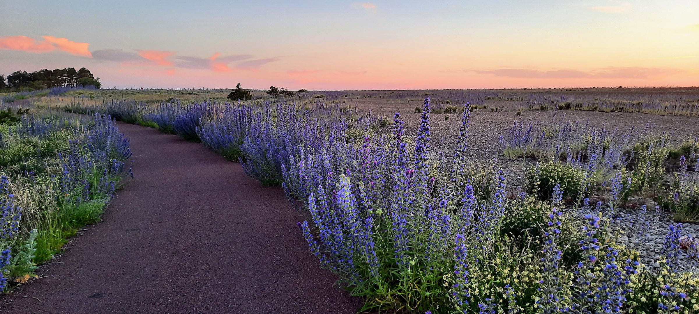 Öland