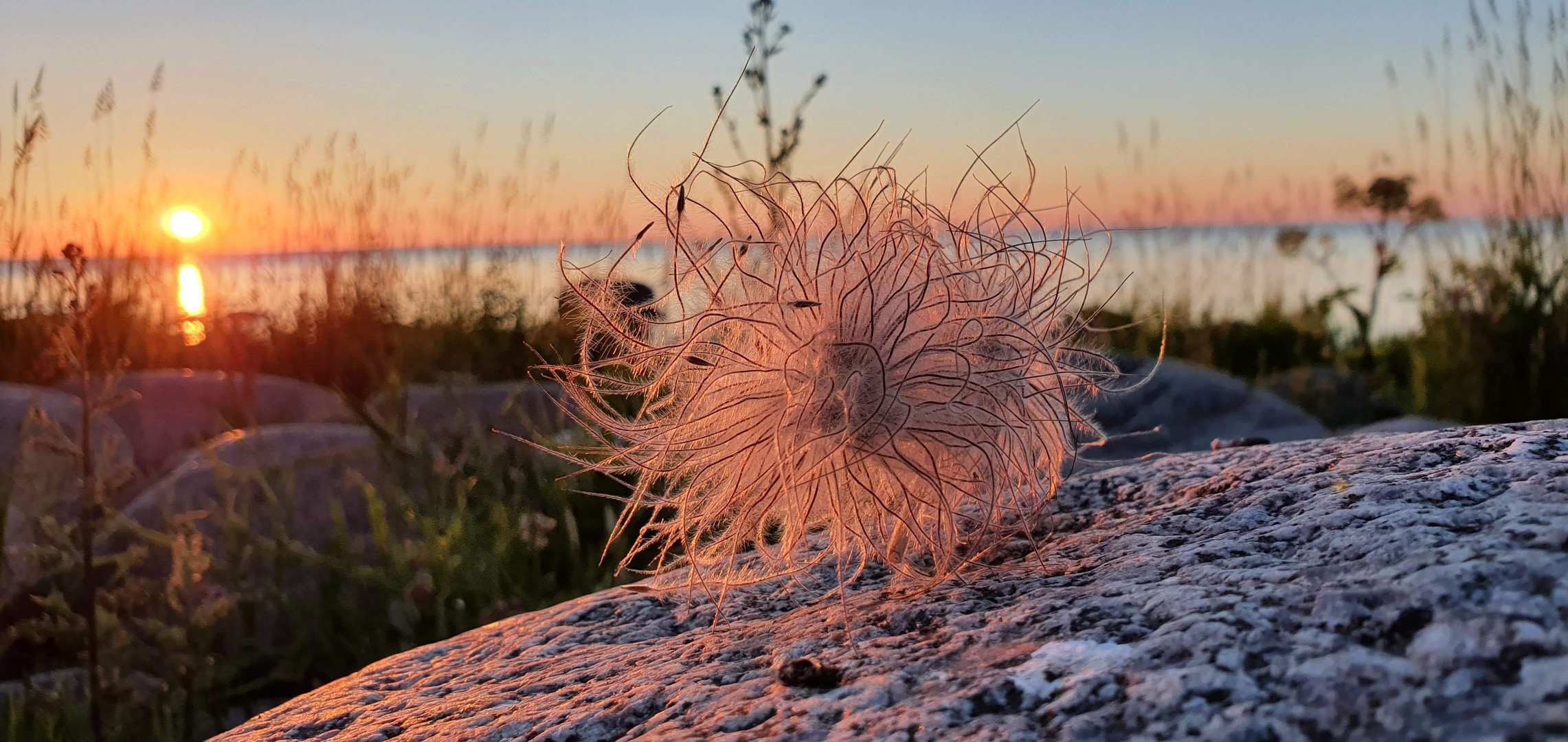 Öland