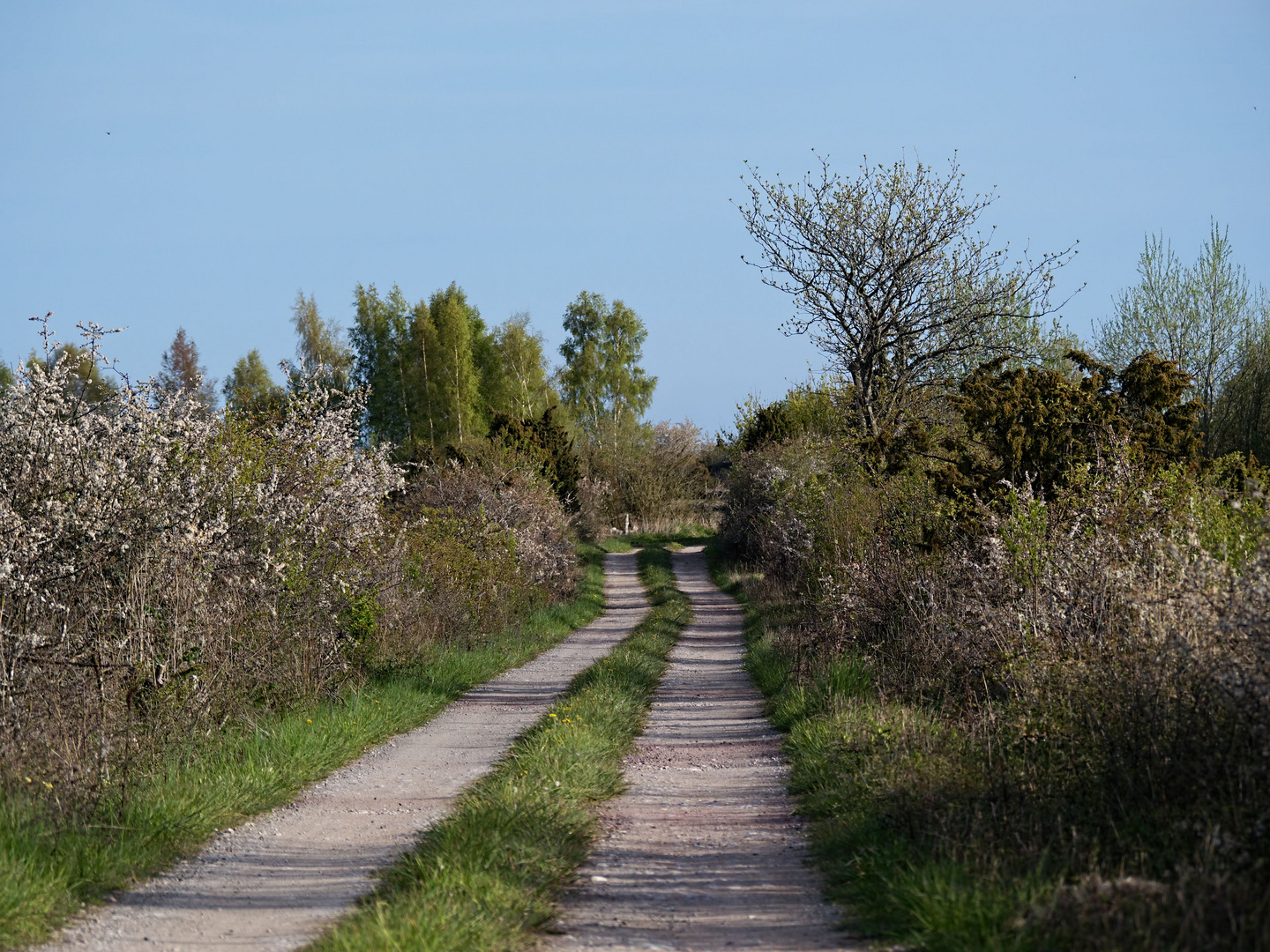 Öland ... Insel der geheimnisvollen Wege